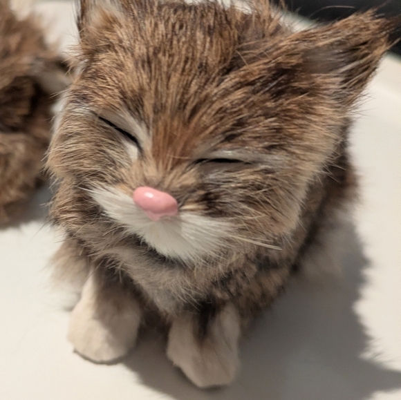 Decorative Cats, Kittens, Real Rabbit Fur - Picture 6 of 6